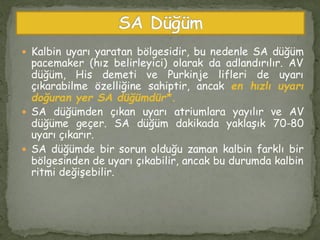  Kalbin uyarı yaratan bölgesidir, bu nedenle SA düğüm
pacemaker (hız belirleyici) olarak da adlandırılır. AV
düğüm, His demeti ve Purkinje lifleri de uyarı
çıkarabilme özelliğine sahiptir, ancak en hızlı uyarı
doğuran yer SA düğümdür*.
 SA düğümden çıkan uyarı atriumlara yayılır ve AV
düğüme geçer. SA düğüm dakikada yaklaşık 70-80
uyarı çıkarır.
 SA düğümde bir sorun olduğu zaman kalbin farklı bir
bölgesinden de uyarı çıkabilir, ancak bu durumda kalbin
ritmi değişebilir.
 