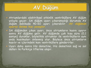  Atriumlardaki elektriksel etkinlik ventriküllere AV düğüm
yoluyla geçer. SA düğüm uyarı çıkaramadığı durumda AV
düğüm dakikada 40-60 uyarı çıkarabilir. AV düğümün
uyarıyı iletme hızı yavaştır.
 SA düğümden çıkan uyarı, önce atriumların kasını uyarır
sonra AV düğüme gelir. AV düğümde çok kısa süre (0,1
saniye) duraklar, böylelikle atriumlar ile ventriküllerin aynı
anda kasılmaları önlenmiş olur. Böylece önce atriumların
kasılır ve içlerindeki kanı ventriküllere gönderirler.
 Uyarı daha sonra His demetine, His demetinin sağ ve sol
dalları ile Purkinje liflerine ulaşır.
 
