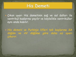  Çıkan uyarı His demetinin sağ ve sol dalları ile
ventrikül kaslarına yayılır ve böylelikle ventriküller
aynı anda kasılır.
 His demeti ve Purkinje lifleri tek başlarına SA
düğüm ve AV düğüme göre daha az uyarı
çıkarır.
 