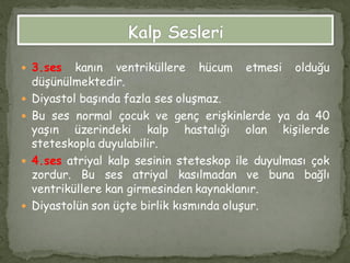 3.ses kanın ventriküllere hücum etmesi olduğu
düşünülmektedir.
 Diyastol başında fazla ses oluşmaz.
 Bu ses normal çocuk ve genç erişkinlerde ya da 40
yaşın üzerindeki kalp hastalığı olan kişilerde
steteskopla duyulabilir.
 4.ses atriyal kalp sesinin steteskop ile duyulması çok
zordur. Bu ses atriyal kasılmadan ve buna bağlı
ventriküllere kan girmesinden kaynaklanır.
 Diyastolün son üçte birlik kısmında oluşur.
 