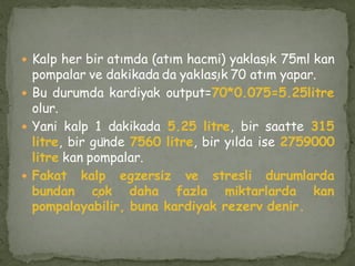  Kalp her bir atımda (atım hacmi) yaklaşık 75ml kan
pompalar ve dakikada da yaklaşık 70 atım yapar.
 Bu durumda kardiyak output=70*0.075=5.25litre
olur.
 Yani kalp 1 dakikada 5.25 litre, bir saatte 315
litre, bir günde 7560 litre, bir yılda ise 2759000
litre kan pompalar.
 Fakat kalp egzersiz ve stresli durumlarda
bundan çok daha fazla miktarlarda kan
pompalayabilir, buna kardiyak rezerv denir.
 