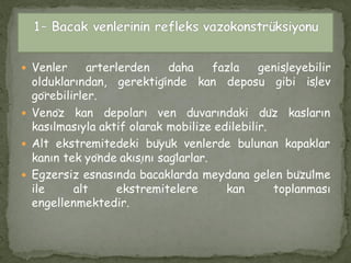  Venler arterlerden daha fazla genişleyebilir
olduklarından, gerektiğinde kan deposu gibi işlev
görebilirler.
 Venöz kan depoları ven duvarındaki düz kasların
kasılmasıyla aktif olarak mobilize edilebilir.
 Alt ekstremitedeki büyük venlerde bulunan kapaklar
kanın tek yönde akışını sağlarlar.
 Egzersiz esnasında bacaklarda meydana gelen büzülme
ile alt ekstremitelere kan toplanması
engellenmektedir.
 