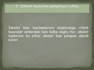  İskelet kası kasılmalarının oluşturduğu ritmik
basınçlar venlerdeki kanı kalbe doğru iter, iskelet
kaslarının bu etkisi iskelet kası pompası olarak
bilinir.
 