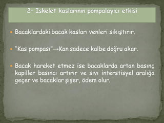  Bacaklardaki bacak kasları venleri sıkıştırır.
 “Kas pompası”→Kan sadece kalbe doğru akar.
 Bacak hareket etmez ise bacaklarda artan basınç
kapiller basıncı artırır ve sıvı interstisyel aralığa
geçer ve bacaklar şişer, ödem olur.
 