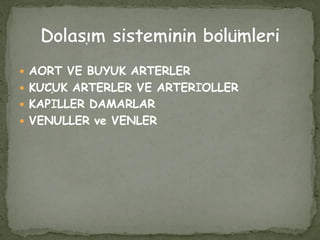  AORT VE BÜYÜK ARTERLER
 KÜÇÜK ARTERLER VE ARTERİOLLER
 KAPİLLER DAMARLAR
 VENÜLLER ve VENLER
 