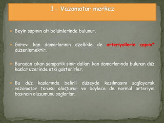  Beyin sapının alt bölümlerinde bulunur.
 Görevi kan damarlarının özellikle de arteriyollerin çapını*
düzenlemektir.
 Buradan çıkan sempatik sinir dalları kan damarlarında bulunan düz
kaslar üzerinde etki gösterirler.
 Bu düz kaslarında belirli düzeyde kasılmasını sağlayarak
vazomotor tonusu oluşturur ve böylece de normal arteriyel
basıncın oluşumunu sağlarlar.
 