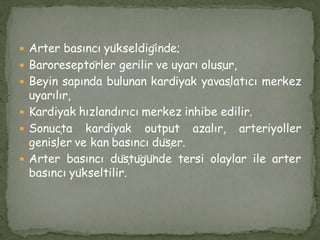  Arter basıncı yükseldiğinde;
 Baroreseptörler gerilir ve uyarı oluşur,
 Beyin sapında bulunan kardiyak yavaşlatıcı merkez
uyarılır,
 Kardiyak hızlandırıcı merkez inhibe edilir.
 Sonuçta kardiyak output azalır, arteriyoller
genişler ve kan basıncı düşer.
 Arter basıncı düştüğünde tersi olaylar ile arter
basıncı yükseltilir.
 