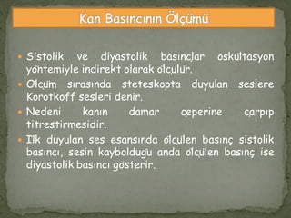  Sistolik ve diyastolik basınçlar oskültasyon
yöntemiyle indirekt olarak ölçülür.
 Ölçüm sırasında steteskopta duyulan seslere
Korotkoff sesleri denir.
 Nedeni kanın damar çeperine çarpıp
titreştirmesidir.
 İlk duyulan ses esansında ölçülen basınç sistolik
basıncı, sesin kaybolduğu anda ölçülen basınç ise
diyastolik basıncı gösterir.
 