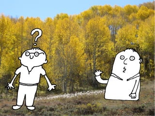 Do Languages Matter?