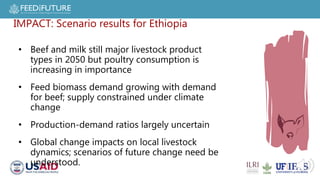 Livestock in Ethiopia: Tailwinds and Headwinds to 2050