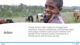 Livestock in Ethiopia: Tailwinds and Headwinds to 2050