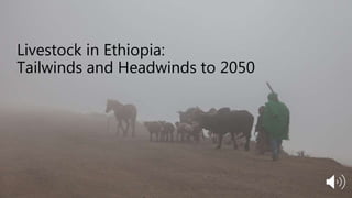 Livestock in Ethiopia: Tailwinds and Headwinds to 2050