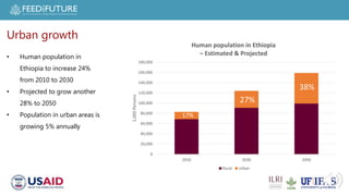 Livestock in Ethiopia: Tailwinds and Headwinds to 2050