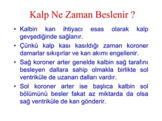 Kalp Ne Zaman Beslenir ?
• Kalbin kan ihtiyacı esas olarak kalp
  gevşediğinde sağlanır.
• Çünkü kalp kası kasıldığı zaman koroner
  damarlar sıkışırlar ve kan akımı engellenir.
• Sağ koroner arter genelde kalbin sağ tarafını
  besleyen dallara sahip olmakla birlikte sol
  ventriküle de uzanan dalları vardır.
• Sol koroner arter ise başlıca kalbin sol
  bölümünü besler fakat az miktarda da olsa
  sağ ventriküle de kan gönderir.
 