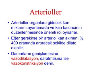 Arterioller
• Arterioller organlara gidecek kan
  miktarını ayarlamada ve kan basıncının
  düzenlenmesinde önemli rol oynarlar.
• Eğer gerekirse bir arteriol kan akımını %
  400 oranında artıracak şekilde dilate
  olabilir.
• Damarların genişlemesine
  vazodilatasyon, daralmasına ise
  vazokonstriksiyon denir.
 