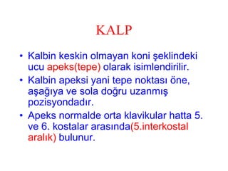 KALP
• Kalbin keskin olmayan koni şeklindeki
  ucu apeks(tepe) olarak isimlendirilir.
• Kalbin apeksi yani tepe noktası öne,
  aşağıya ve sola doğru uzanmış
  pozisyondadır.
• Apeks normalde orta klavikular hatta 5.
  ve 6. kostalar arasında(5.interkostal
  aralık) bulunur.
 