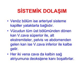 SİSTEMİK DOLAŞIM
• Venöz bölüm ise arteriyel sisteme
  kapiller yataklarla bağlıdır.
• Vücudun tüm üst bölümünden dönen
  kan V.cava süperior ile, alt
  ekstremiteler, pelvis ve abdomenden
  gelen kan ise V.cava inferior ile kalbe
  gelir.
• Her iki vena cava da kalbin sağ
  atriyumuna deoksijene kanı boşaltırlar.
 