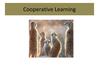 Cooperative Learning 