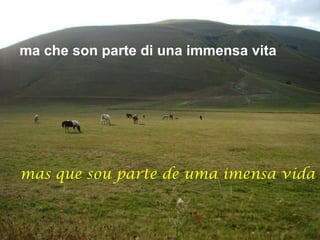 ma che son parte di una immensa vita




mas que sou parte de uma imensa vida
 