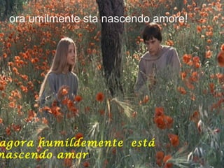 ora umilmente sta nascendo amore!
agora humildemente está
nascendo amor!
 