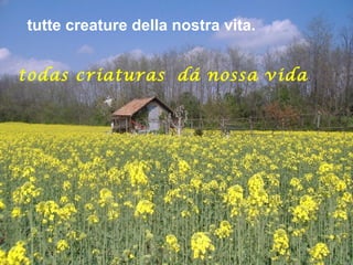 tutte creature della nostra vita.
todas criaturas dá nossa vida.
 