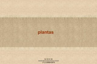 N I S S I M
NISSIM.N@TECNISAVENDAS.COM.BR
(11) 9.9699-5679
plantas
 