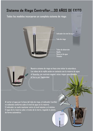 Vasos para Interiores com reserva de água