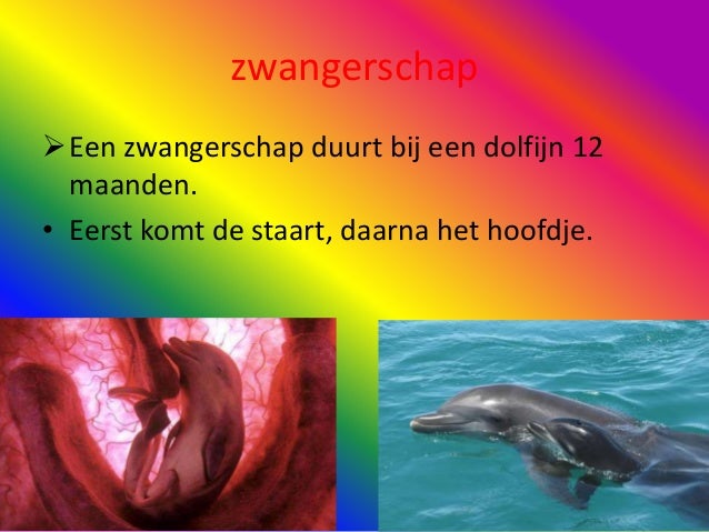 wat moet je eten per dag