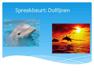 Spreekbeurt: Dolfijnen
 