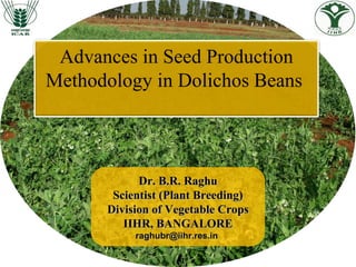 Advances in Seed Production
Methodology in Dolichos Beans
Dr. B.R. RaghuDr. B.R. Raghu
Scientist (Plant Breeding)Scientist (Plant Breeding)
Division of Vegetable CropsDivision of Vegetable Crops
IIHR, BANGALOREIIHR, BANGALORE
raghubr@iihr.res.inraghubr@iihr.res.in
 