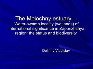 The Molochny estuary  –  Water-swamp locality (wetlands) of international significance in Zaporizhzhya region: the status and biodiversity   Dolinny Vladislav 