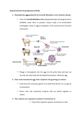Steps involved in the production of Dolly:
1. Enucleate the eggs produced by Scottish Blackface ewes (female sheep).
 Treat the Scottish Blackface ewes with gonadotropin-releasing hormone
(GnRH)to cause them to produce oocytes ready to be fertilized(for
arrestingthe oocyte or egg at metaphase of the second meiotic division
(meiosis II).
 Plunge a micropipette into the egg over the polar body and suck out
not only the polar body but the haploid pronucleus within the egg.
2. Fuse each enucleated egg with a diploid cell growing in culture.
 Cells from the mammary gland of an adult Finn Dorset ewe are grown
in tissuculture.
 Donor cells and enucleated recipient cells are placed together in
culture.
3. The cultures are exposed to pulses of electricity to
 Cause their respective plasma membranes to fuse;
 