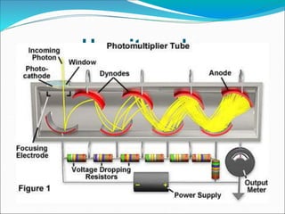 PHOTOMULTIPLIER Dolly rajput ppt(1) | PPTX