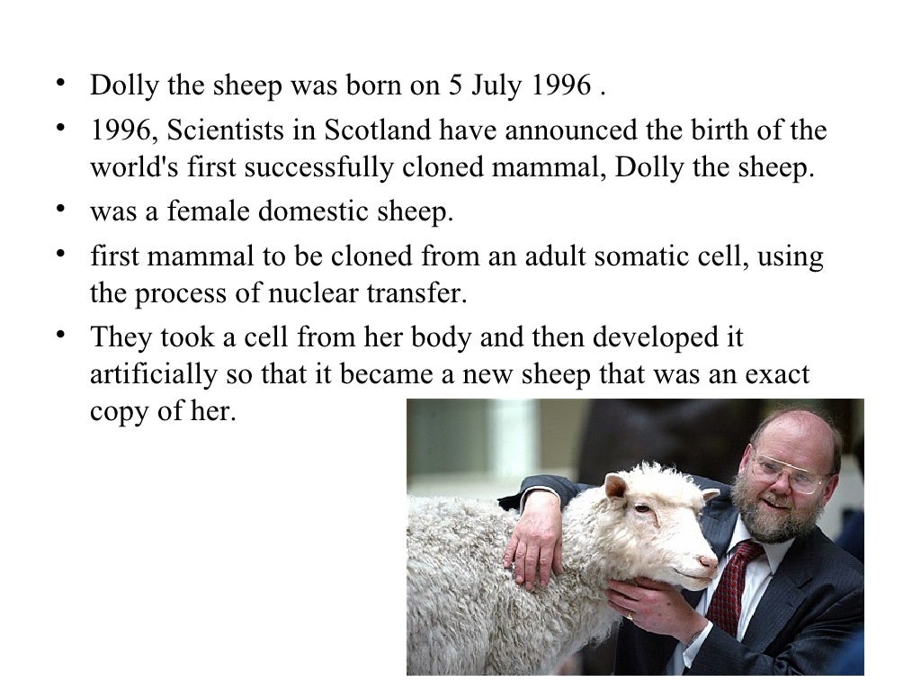 Dolly the sheep