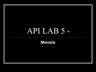 API LAB 5 - Meiosis 