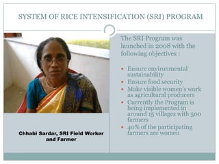 1314- Jeevika Development Society - System of Rice Intensification ...
