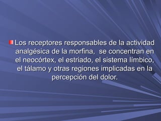 Los receptores responsables de la actividad
analgésica de la morfina, se concentran en
el neocórtex, el estriado, el sistema límbico,
 el tálamo y otras regiones implicadas en la
            percepción del dolor.
 