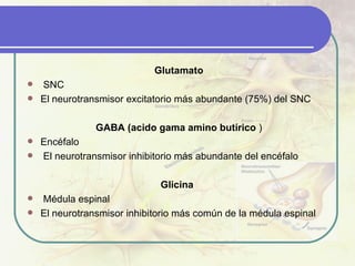 Glutamato SNC El neurotransmisor excitatorio más abundante (75%) del SNC   GABA (acido  gama amino butírico  ) Encéfalo El neurotransmisor inhibitorio más abundante del encéfalo   Glicina Médula espinal El neurotransmisor inhibitorio más común de la médula espinal 