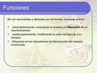 Funciones  Sin ser acumuladas y liberadas por terminales nerviosas actúan: presinápticamente, modulando la síntesis y/o  liberación  de un neurotransmisor postsinápticamente, modificando la unión del ligando a su receptor influyendo en los mecanismos de transducción del receptor involucrado  