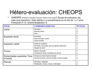 Dolor | PDF
