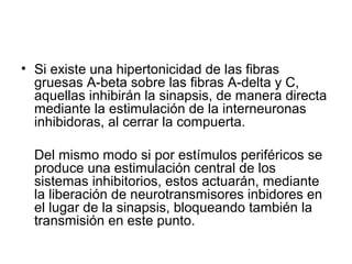 • Si existe una hipertonicidad de las fibras
  gruesas A-beta sobre las fibras A-delta y C,
  aquellas inhibirán la sinapsis, de manera directa
  mediante la estimulación de la interneuronas
  inhibidoras, al cerrar la compuerta.

  Del mismo modo si por estímulos periféricos se
  produce una estimulación central de los
  sistemas inhibitorios, estos actuarán, mediante
  la liberación de neurotransmisores inbidores en
  el lugar de la sinapsis, bloqueando también la
  transmisión en este punto.
 