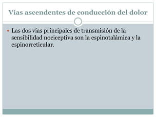 Vías ascendentes de conducción del dolor
 Las dos vías principales de transmisión de la
sensibilidad nociceptiva son la espinotalámica y la
espinorreticular.
 