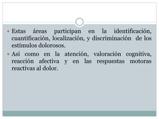  Estas áreas participan en la identificación,
cuantificación, localización, y discriminación de los
estímulos dolorosos.
 Así como en la atención, valoración cognitiva,
reacción afectiva y en las respuestas motoras
reactivas al dolor.
 