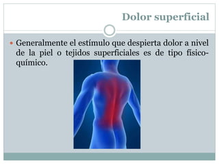 Dolor superficial
 Generalmente el estímulo que despierta dolor a nivel
de la piel o tejidos superficiales es de tipo físico-
químico.
 