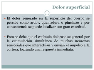 Dolor superficial
 El dolor generado en la superficie del cuerpo se
percibe como ardor, quemadura o pinchazo y por
consecuencia se puede localizar con gran exactitud.
 Esto se debe que el estímulo doloroso se general por
la estimulación simultánea de muchas neuronas
sensoriales que interactúan y envían el impulso a la
corteza, logrando una respuesta inmediata.
 