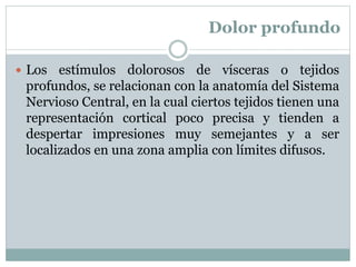 Dolor profundo
 Los estímulos dolorosos de vísceras o tejidos
profundos, se relacionan con la anatomía del Sistema
Nervioso Central, en la cual ciertos tejidos tienen una
representación cortical poco precisa y tienden a
despertar impresiones muy semejantes y a ser
localizados en una zona amplia con límites difusos.
 