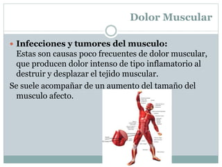 Dolor Muscular
 Infecciones y tumores del musculo:
Estas son causas poco frecuentes de dolor muscular,
que producen dolor intenso de tipo inflamatorio al
destruir y desplazar el tejido muscular.
Se suele acompañar de un aumento del tamaño del
musculo afecto.
 