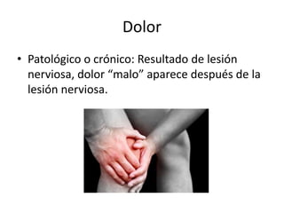 Dolor
• Patológico o crónico: Resultado de lesión
nerviosa, dolor “malo” aparece después de la
lesión nerviosa.
 