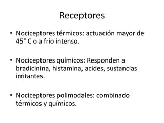 Receptores
• Nociceptores térmicos: actuación mayor de
45° C o a frio intenso.
• Nociceptores químicos: Responden a
bradicinina, histamina, acides, sustancias
irritantes.
• Nociceptores polimodales: combinado
térmicos y químicos.
 