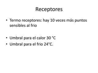 Receptores
• Termo receptores: hay 10 veces más puntos
sensibles al frio
• Umbral para el calor 30 °C
• Umbral para el frio 24°C.
 